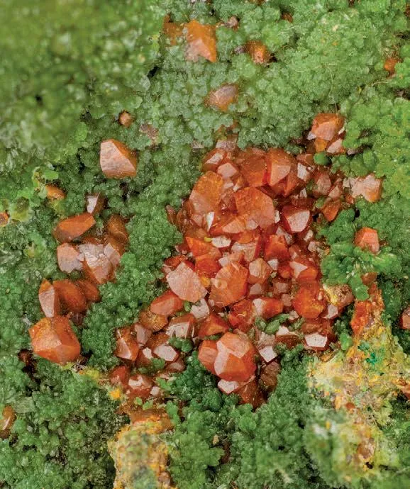 Wulfenite, Pyromorphite - image 1