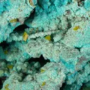Wulfenite, Rosasite - image 2