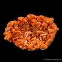 Wulfenite (twinned) - image 7