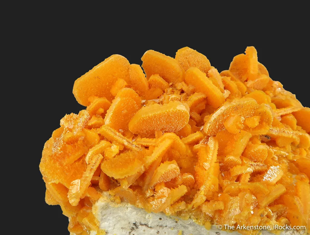 Wulfenite (Type Locality !) image