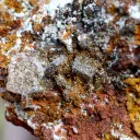 Wulfenite & Vanadinite on limonite - 2210 grams - Erupción Mine, Los Lamentos Mts, Chihuahua, Mexico - image 6