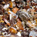 Wulfenite & Vanadinite on limonite - 2210 grams - Erupción Mine, Los Lamentos Mts, Chihuahua, Mexico - image 7