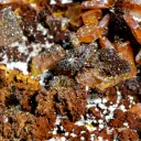 Wulfenite & Vanadinite on limonite - 2210 grams - Erupción Mine, Los Lamentos Mts, Chihuahua, Mexico - image 4