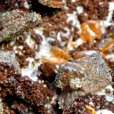 Wulfenite & Vanadinite on limonite - 2210 grams - Erupción Mine, Los Lamentos Mts, Chihuahua, Mexico - image 5