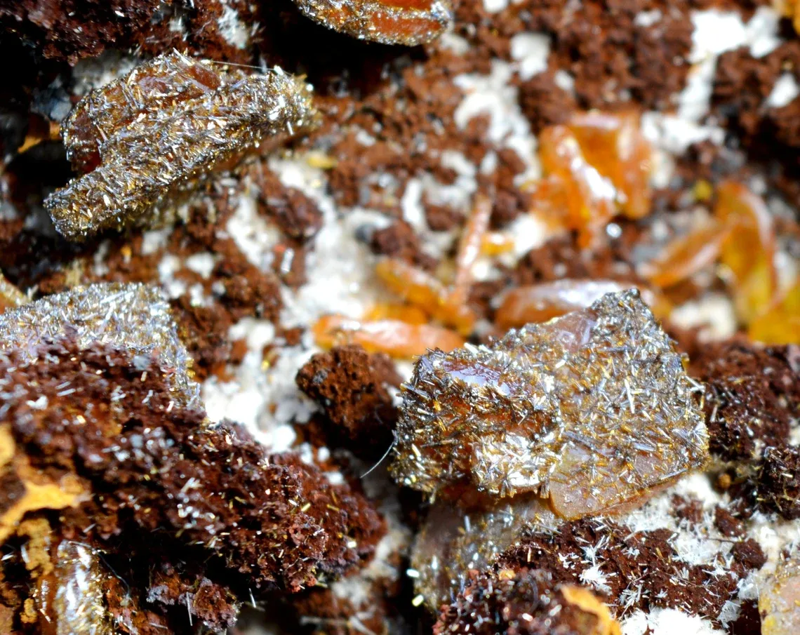 Wulfenite & Vanadinite on limonite - 2210 grams - Erupción Mine, Los Lamentos Mts, Chihuahua, Mexico - image 5