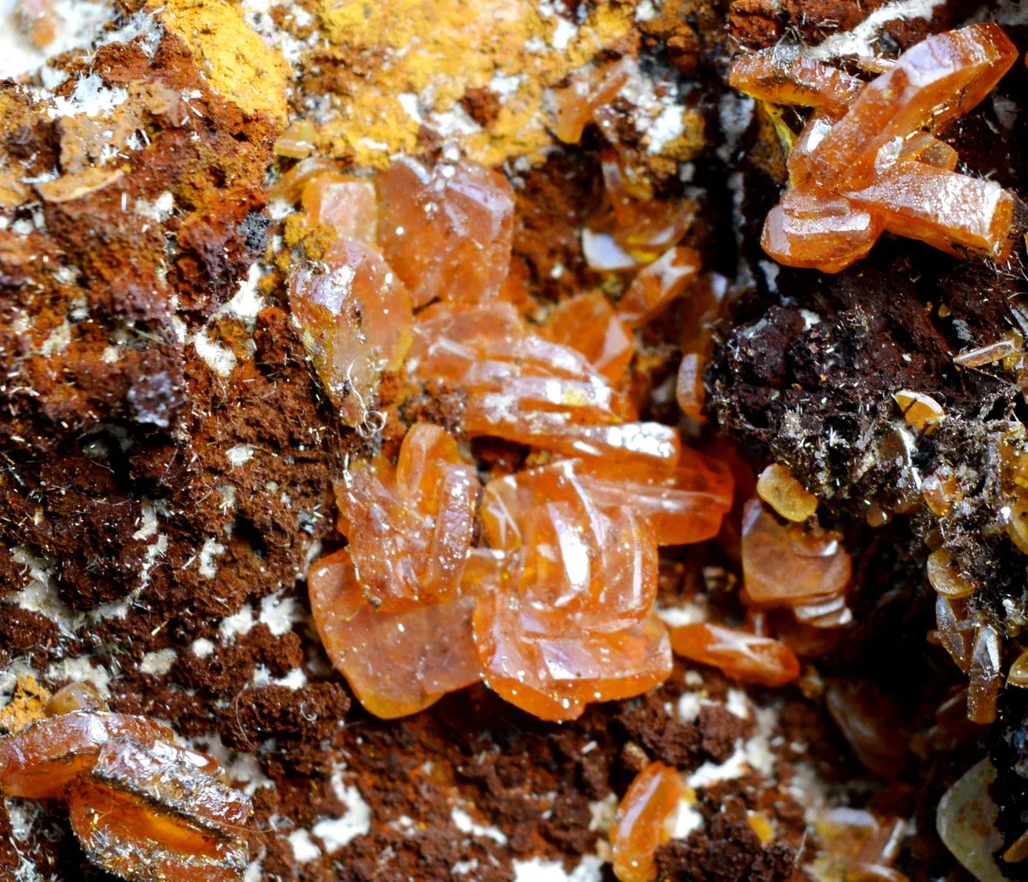 Wulfenite & Vanadinite on limonite - 2210 grams - Erupción Mine, Los Lamentos Mts, Chihuahua, Mexico - image 2