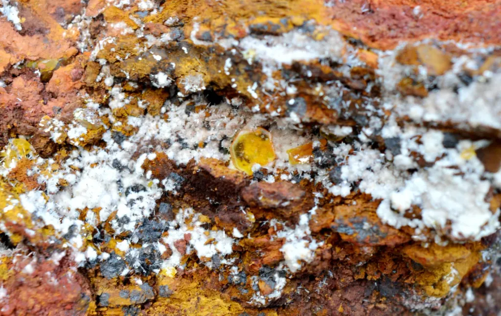 Wulfenite & Vanadinite on limonite - 2210 grams - Erupción Mine, Los Lamentos Mts, Chihuahua, Mexico - image 9