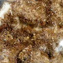 Wulfenite & Vanadinite on limonite - 424 grams - Erupción Mine, Los Lamentos Mts, Chihuahua, Mexico - image 4