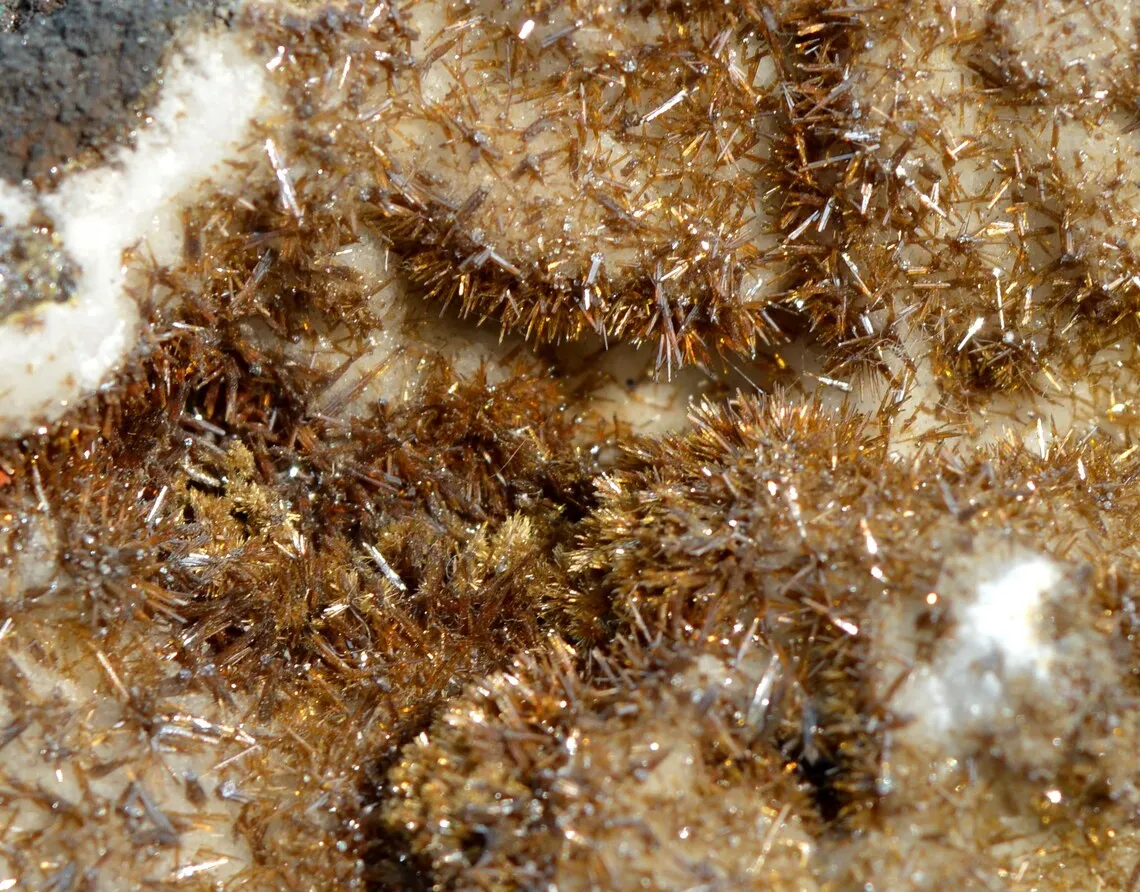 Wulfenite & Vanadinite on limonite - 424 grams - Erupción Mine, Los Lamentos Mts, Chihuahua, Mexico - image 4