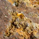 Wulfenite & Vanadinite on limonite - 424 grams - Erupción Mine, Los Lamentos Mts, Chihuahua, Mexico - image 9