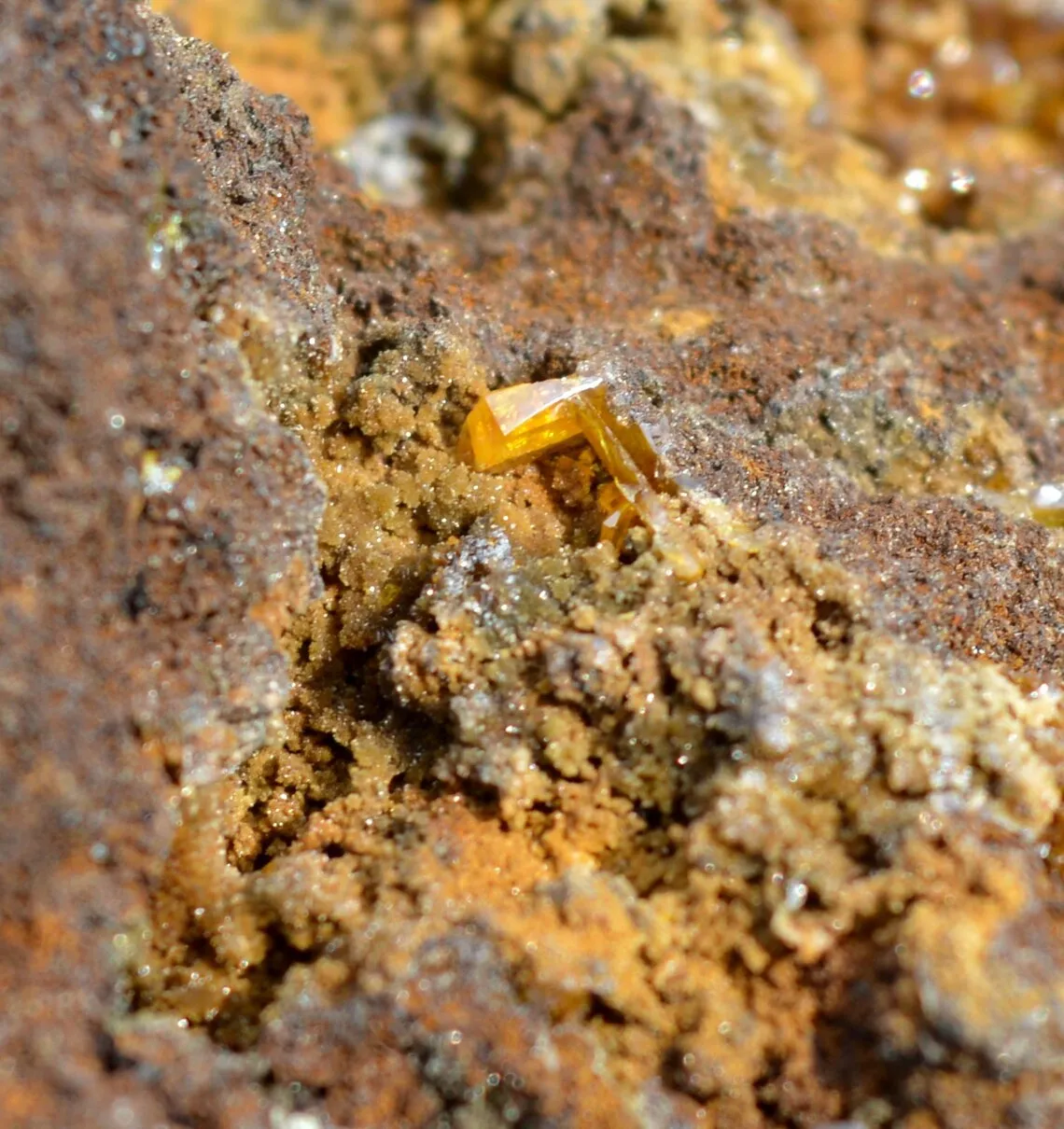 Wulfenite & Vanadinite on limonite - 424 grams - Erupción Mine, Los Lamentos Mts, Chihuahua, Mexico - image 9
