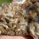 Wulfenite & Vanadinite on limonite - 424 grams - Erupción Mine, Los Lamentos Mts, Chihuahua, Mexico - image 7