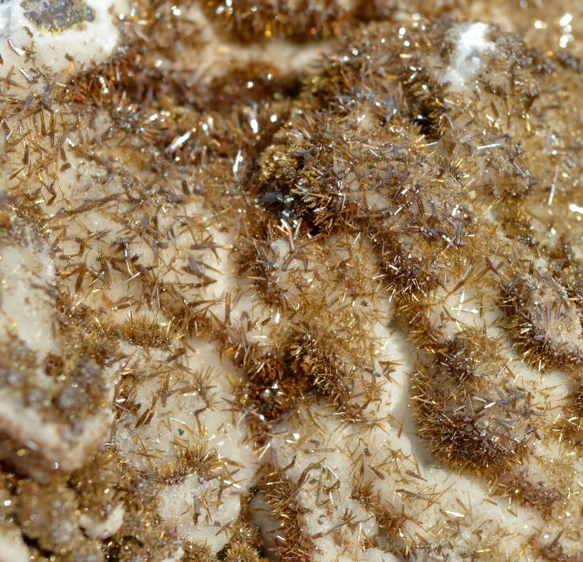 Wulfenite & Vanadinite on limonite - 424 grams - Erupción Mine, Los Lamentos Mts, Chihuahua, Mexico - image 3