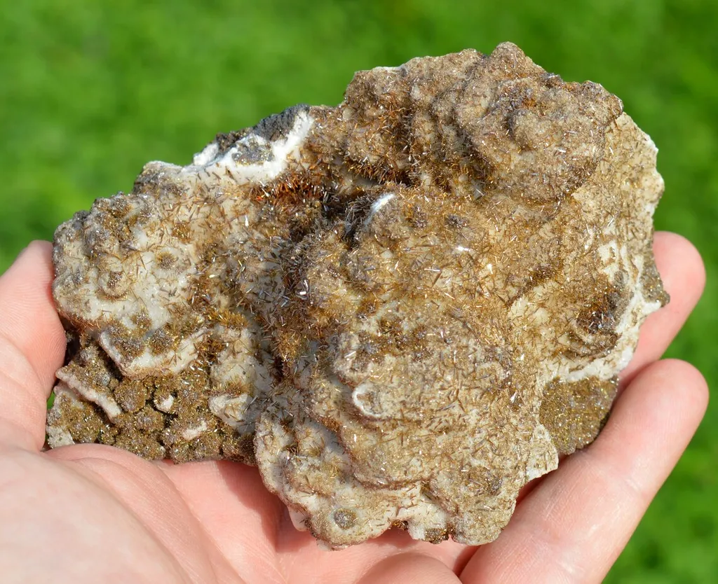 Wulfenite & Vanadinite on limonite - 424 grams - Erupción Mine, Los Lamentos Mts, Chihuahua, Mexico image