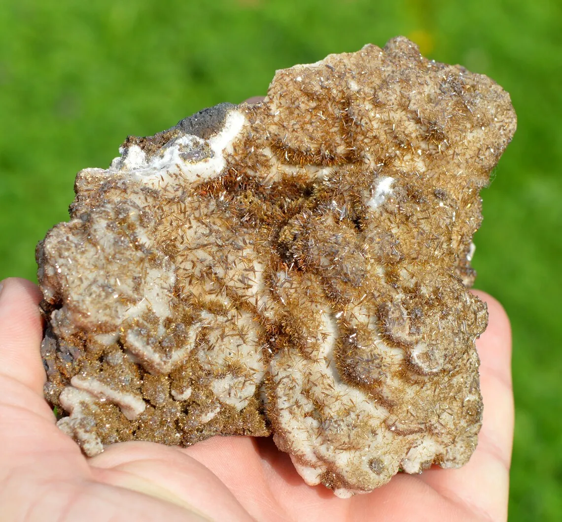 Wulfenite & Vanadinite on limonite - 424 grams - Erupción Mine, Los Lamentos Mts, Chihuahua, Mexico - image 2