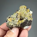 Wulfenite with Barite - image 2