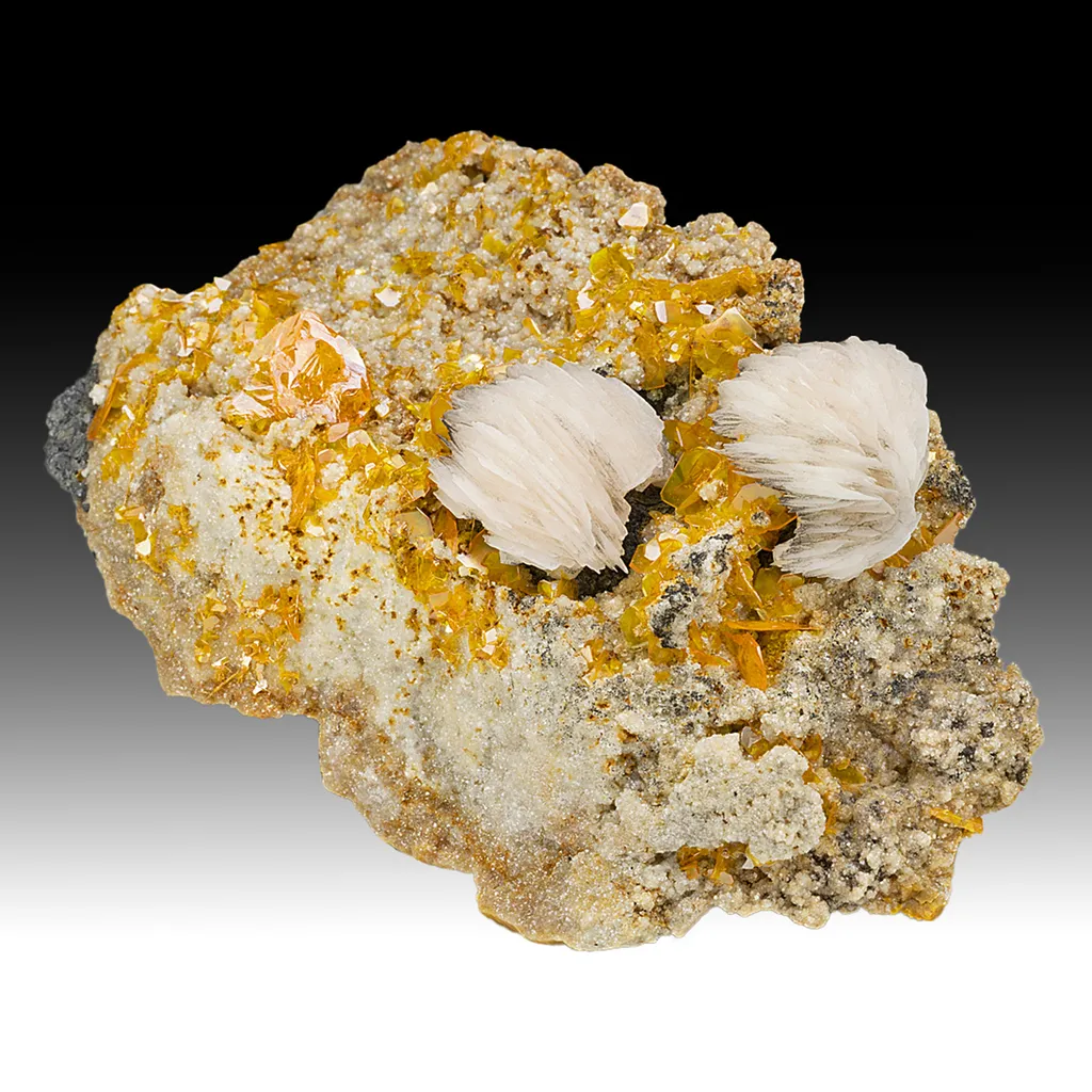 Wulfenite with Barite image