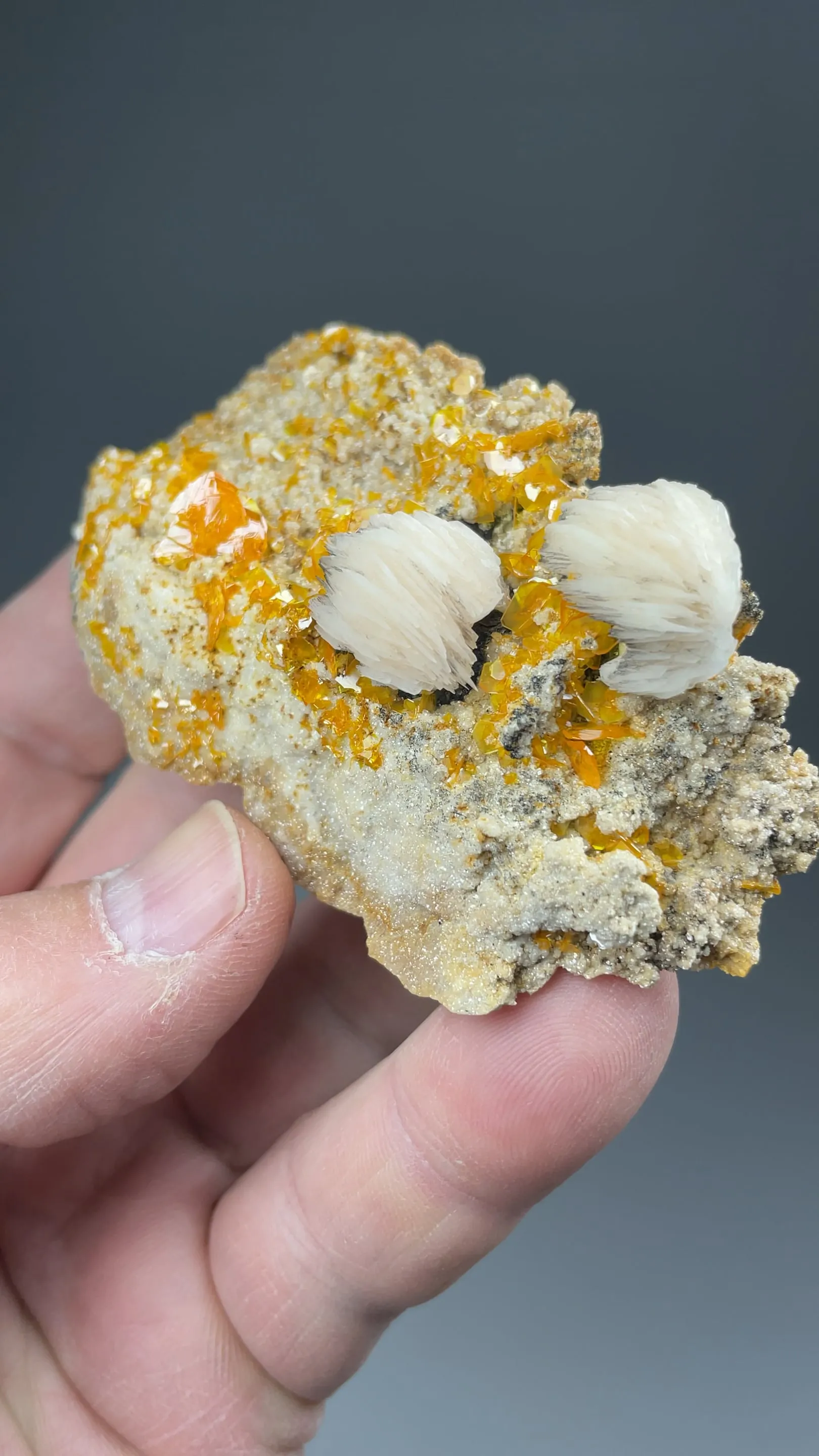 Wulfenite with Barite - image 2