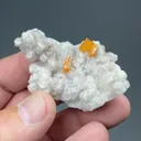 Wulfenite with Calcite - image 2