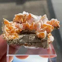 Wulfenite with Calcite - image 5