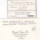 Wulfenite with Calcite - image 8