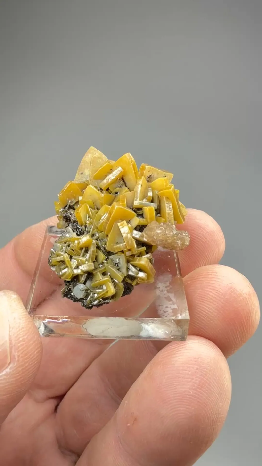 Wulfenite with Calcite - image 2