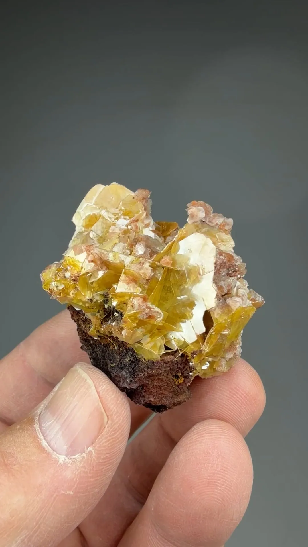 Wulfenite with Calcite - image 2