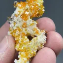 Wulfenite with Calcite - image 2