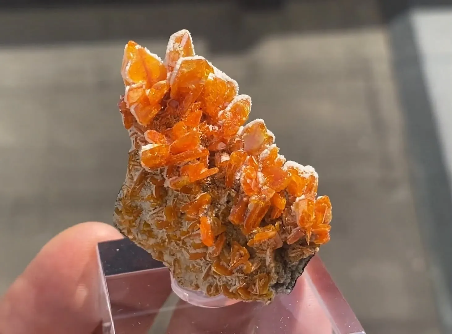 Wulfenite with Calcite - image 5