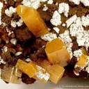 Wulfenite With Calcite - image 3