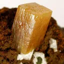 Wulfenite With Calcite - image 2