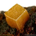 Wulfenite With Calcite - image 2