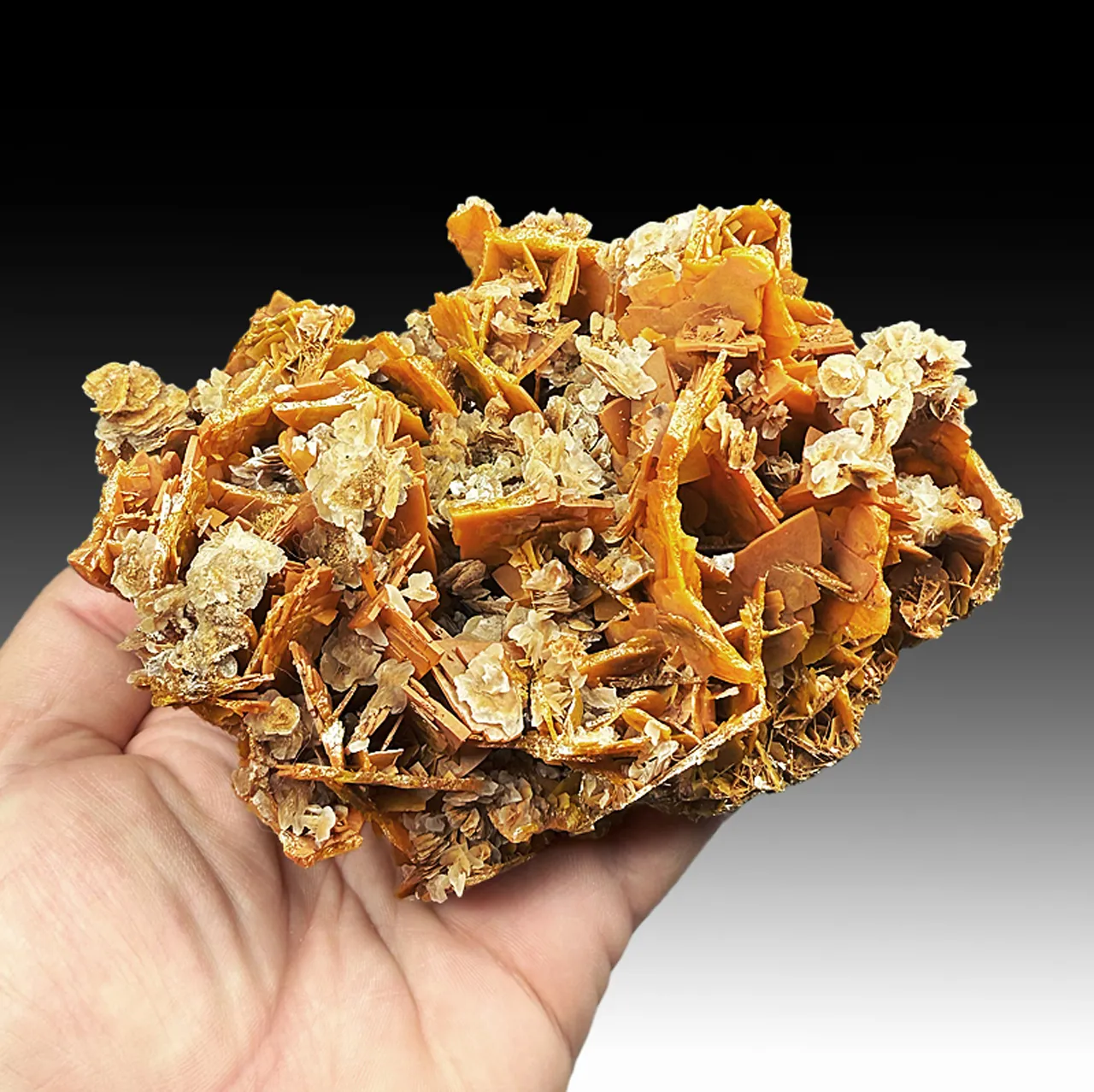 Wulfenite with Calcite - image 1