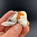 Wulfenite with Calcite - image 1