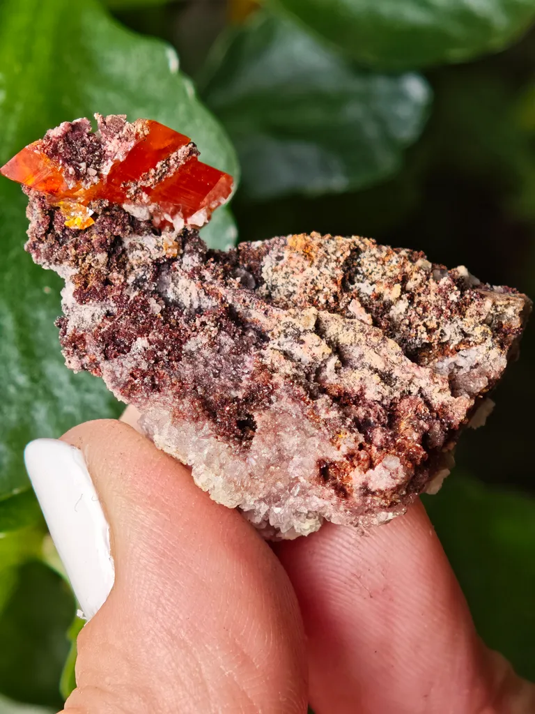 Wulfenite with calcite from Rowley Mine, USA. A very lustrous cluster from this famous locality.  Aesthetic and eye-catching specimen - image 9