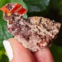 Wulfenite with calcite from Rowley Mine, USA. A very lustrous cluster from this famous locality.  Aesthetic and eye-catching specimen - image 9
