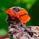 Wulfenite with calcite from Rowley Mine, USA. A very lustrous cluster from this famous locality.  Aesthetic and eye-catching specimen - image 3