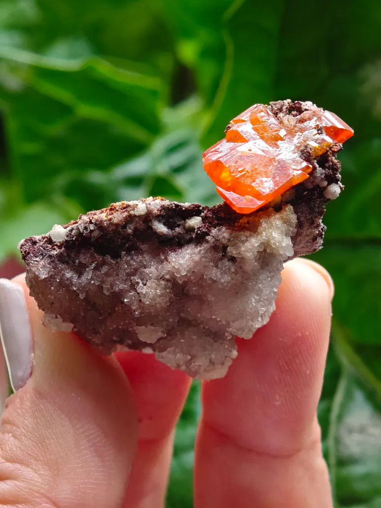 Wulfenite with calcite from Rowley Mine, USA. A very lustrous cluster from this famous locality.  Aesthetic and eye-catching specimen - image 4