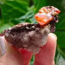 Wulfenite with calcite from Rowley Mine, USA. A very lustrous cluster from this famous locality.  Aesthetic and eye-catching specimen - image 4