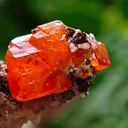 Wulfenite with calcite from Rowley Mine, USA. A very lustrous cluster from this famous locality.  Aesthetic and eye-catching specimen - image 8