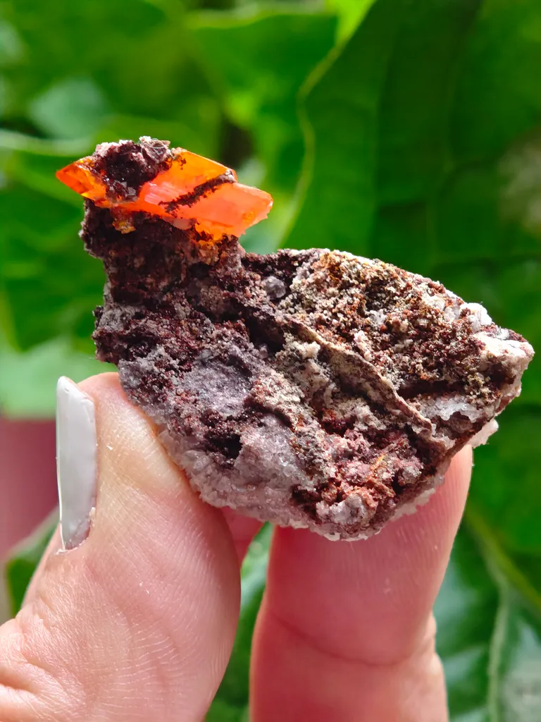 Wulfenite with calcite from Rowley Mine, USA. A very lustrous cluster from this famous locality.  Aesthetic and eye-catching specimen - image 6