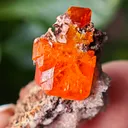 Wulfenite with calcite from Rowley Mine, USA. A very lustrous cluster from this famous locality.  Aesthetic and eye-catching specimen - image 1