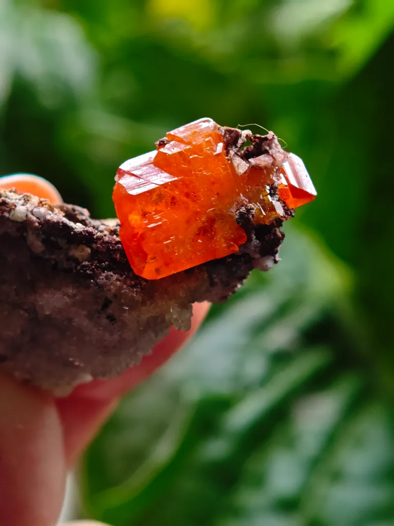 Wulfenite with calcite from Rowley Mine, USA. A very lustrous cluster from this famous locality.  Aesthetic and eye-catching specimen - image 7