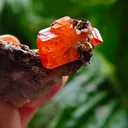Wulfenite with calcite from Rowley Mine, USA. A very lustrous cluster from this famous locality.  Aesthetic and eye-catching specimen - image 7