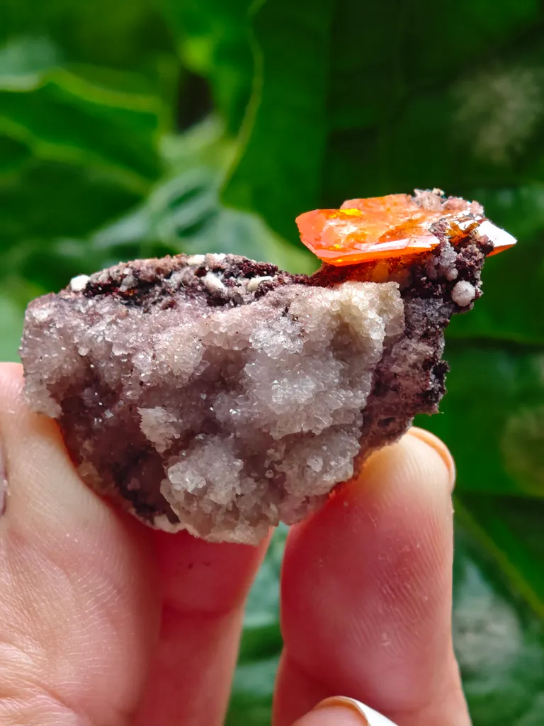 Wulfenite with calcite from Rowley Mine, USA. A very lustrous cluster from this famous locality.  Aesthetic and eye-catching specimen - image 5