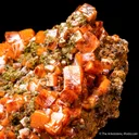 Wulfenite with Descloizite - image 4