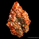 Wulfenite with Descloizite - image 3