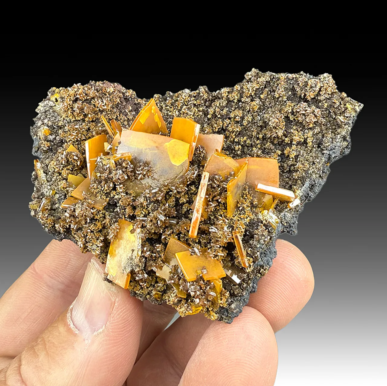 Wulfenite with Descloizite - image 1