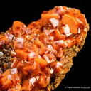 Wulfenite with Descloizite - image 6