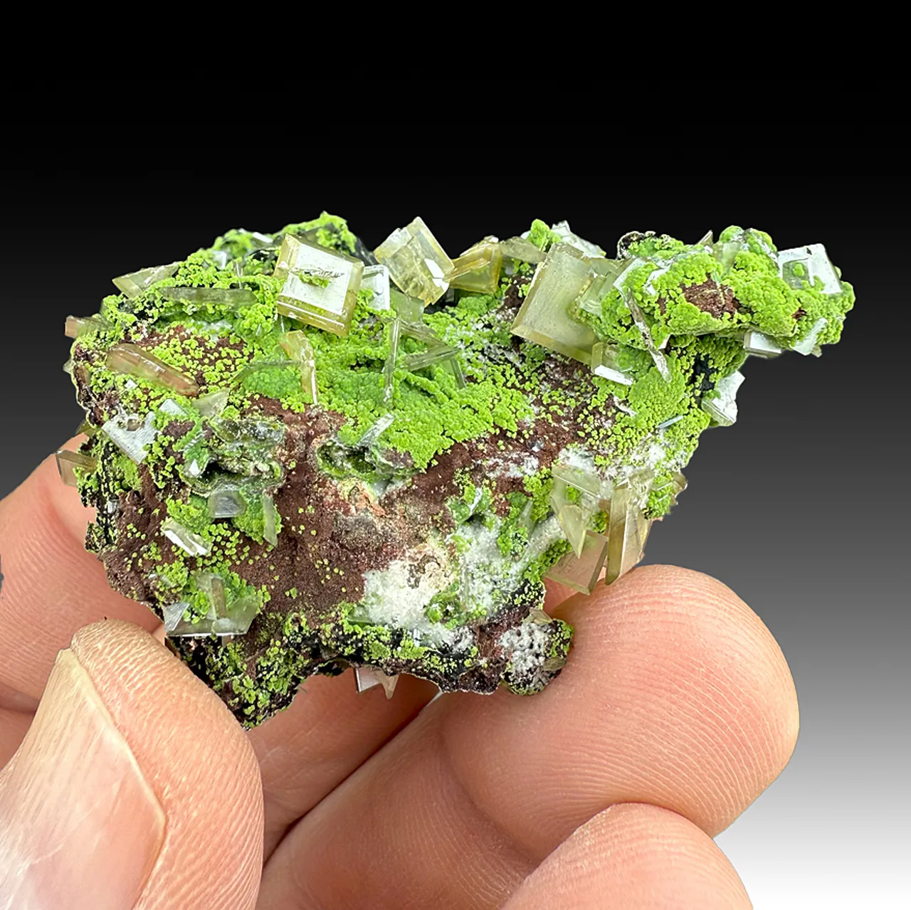 Wulfenite with Duftite - image 1